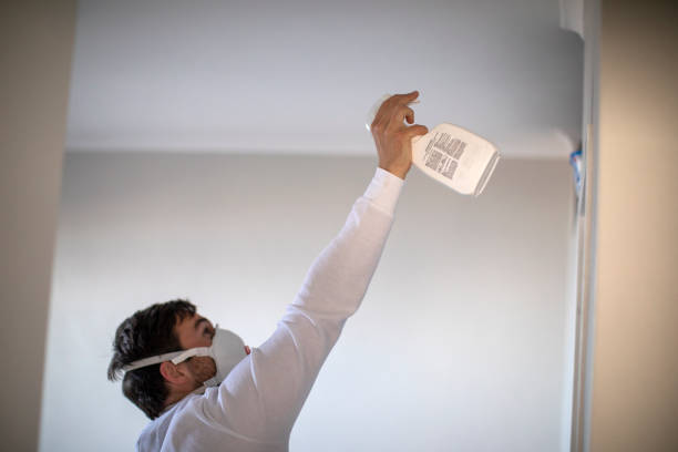 Best Office Mold Removal Services  in Smiths Station, AL