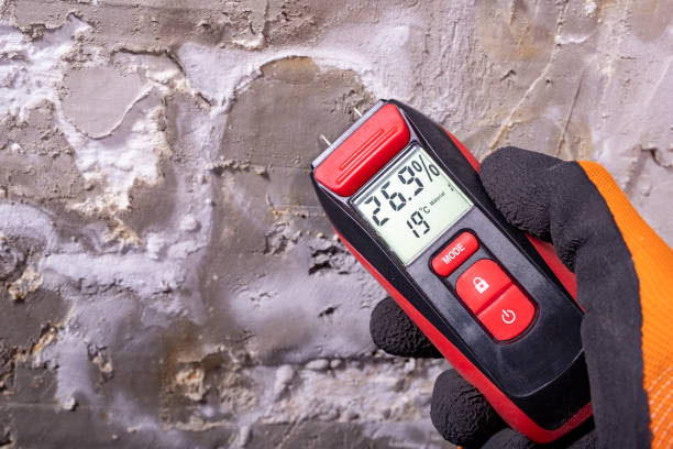 Best Crawl Space Mold Removal  in Smiths Station, AL